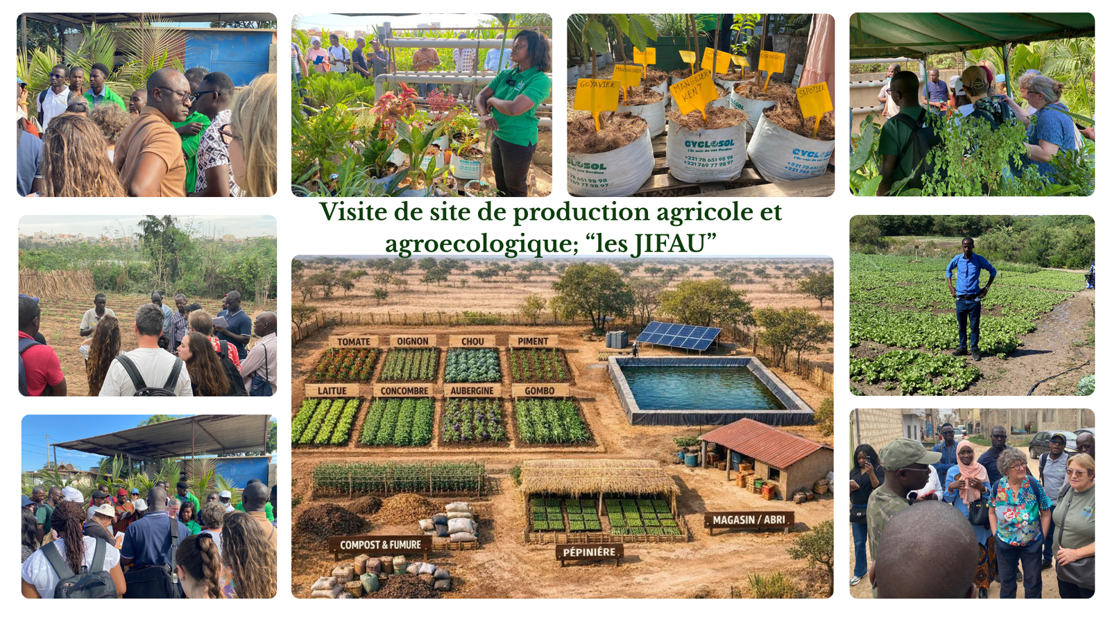 Actualités & Médias